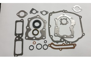 Briggs&Stratton Набір прокладок 590508,794307, 497316